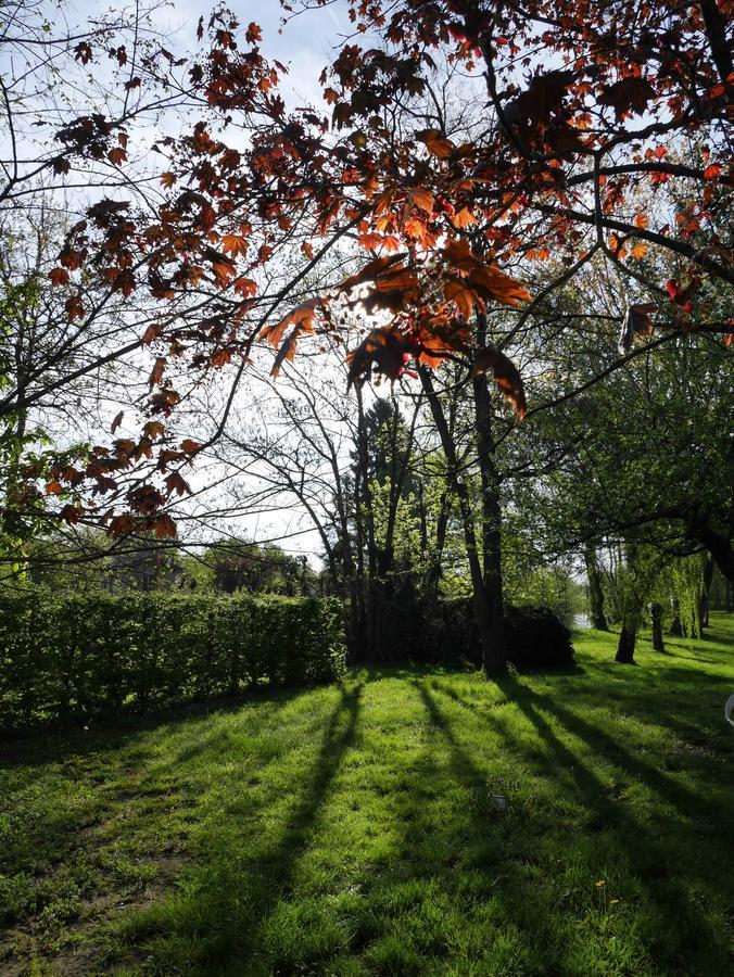 Le Jardin De La Reyssouze Bed & Breakfast Gorrevod Exterior photo